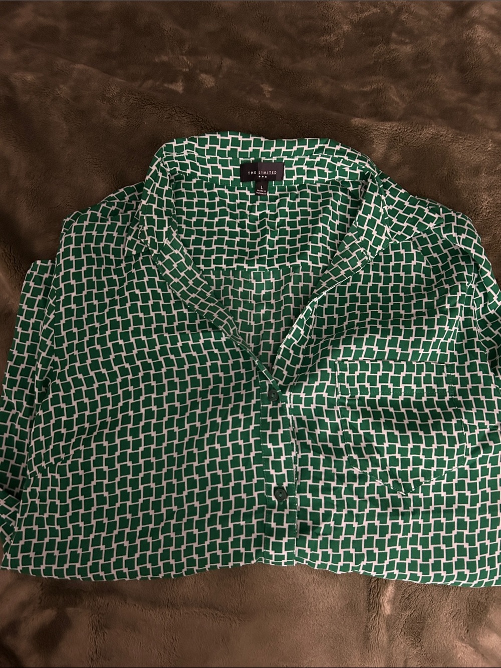 The Limited Green Geometric-Check Men's Button-Down Shirt